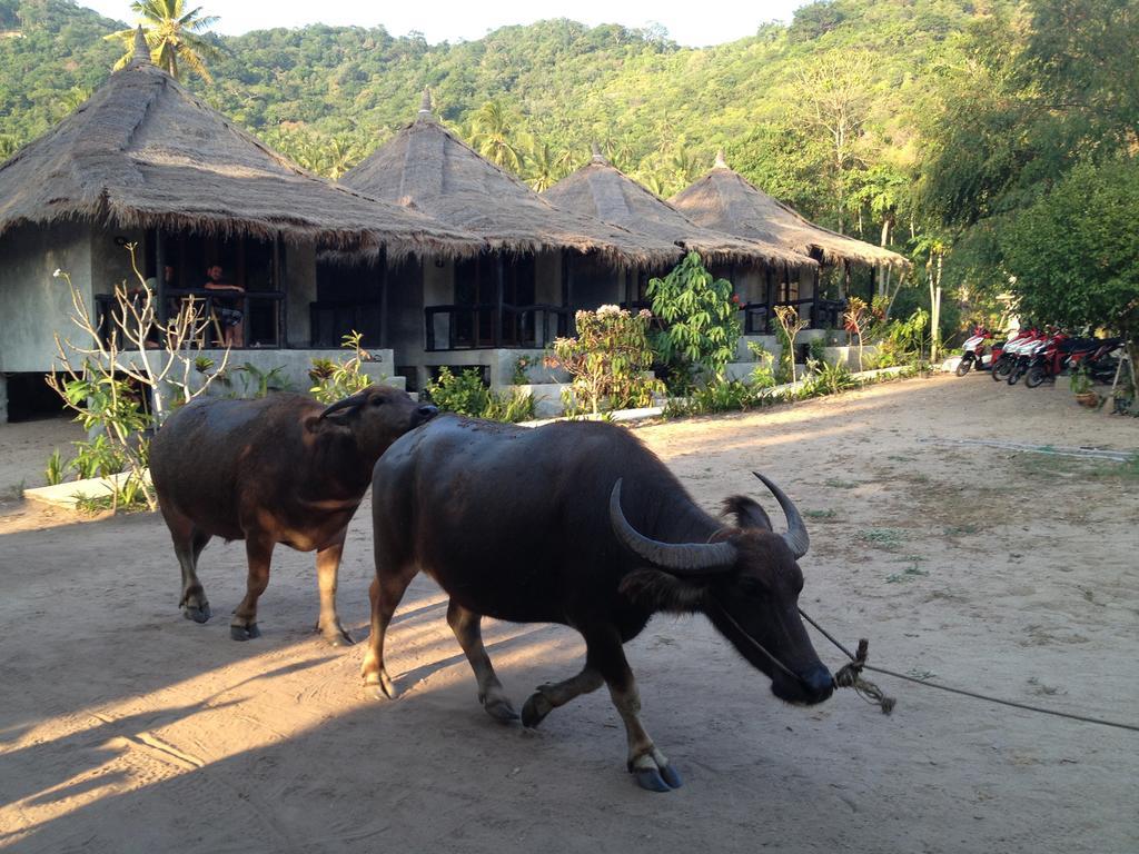 Secret Garden Village Ko Tao Bagian luar foto